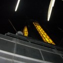 Looking Up | Views: 2665 | Added On: 13th Feb 2009 @ 19:53:32