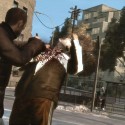 Niko Punches Someone | Views: 4344