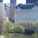 The Plaza Hotel | Views: 2834 | Added On: 17th Apr 2008 @ 23:07:19